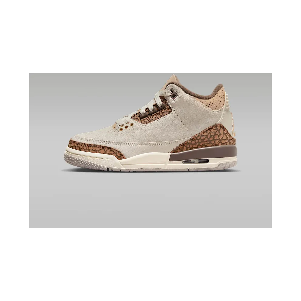 Air Jordan 3 GS “Palomino” (DM0967-102)