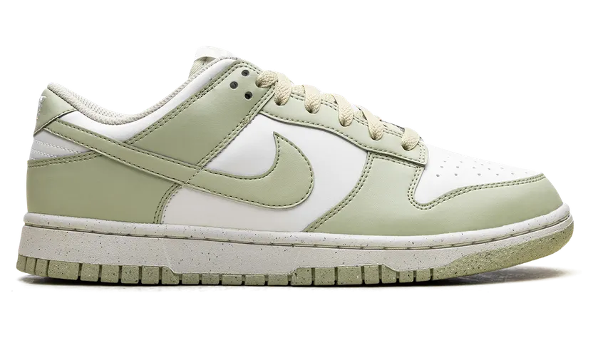 nike-dunk HF5384-300