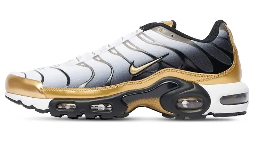 Nike Air Max Plus HM0352-100