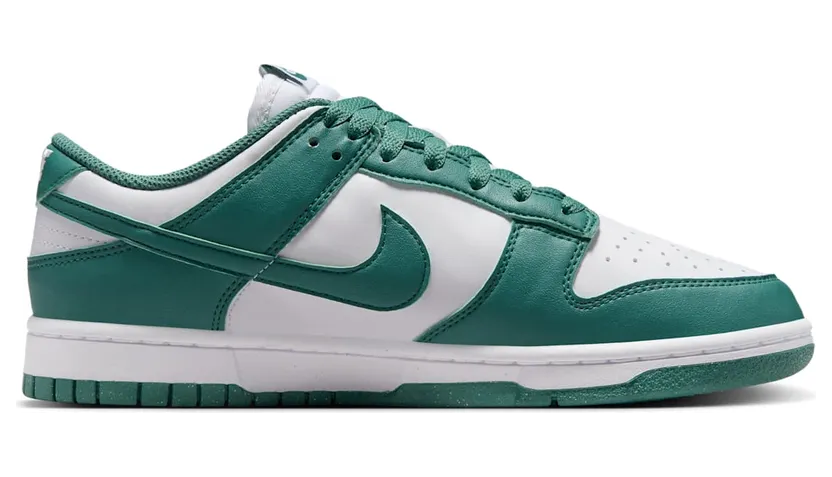 nike-dunk DD1873-107