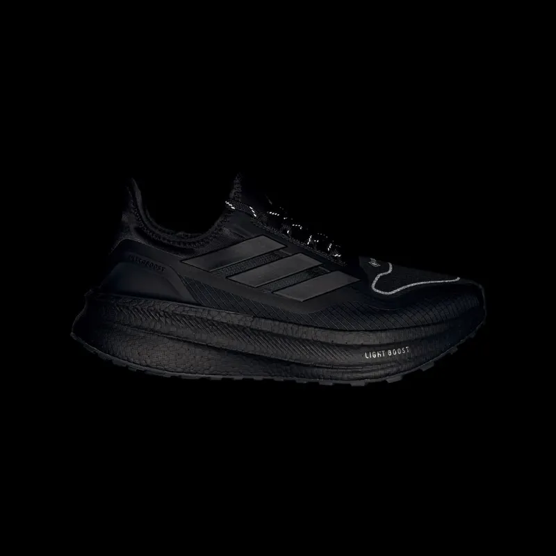 Adidas ULTRABOOST 5 GTX Core Black / Core Black / Carbon (JI1386)