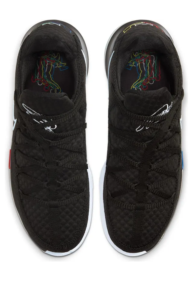 nike-lebron-17 CD5007-002