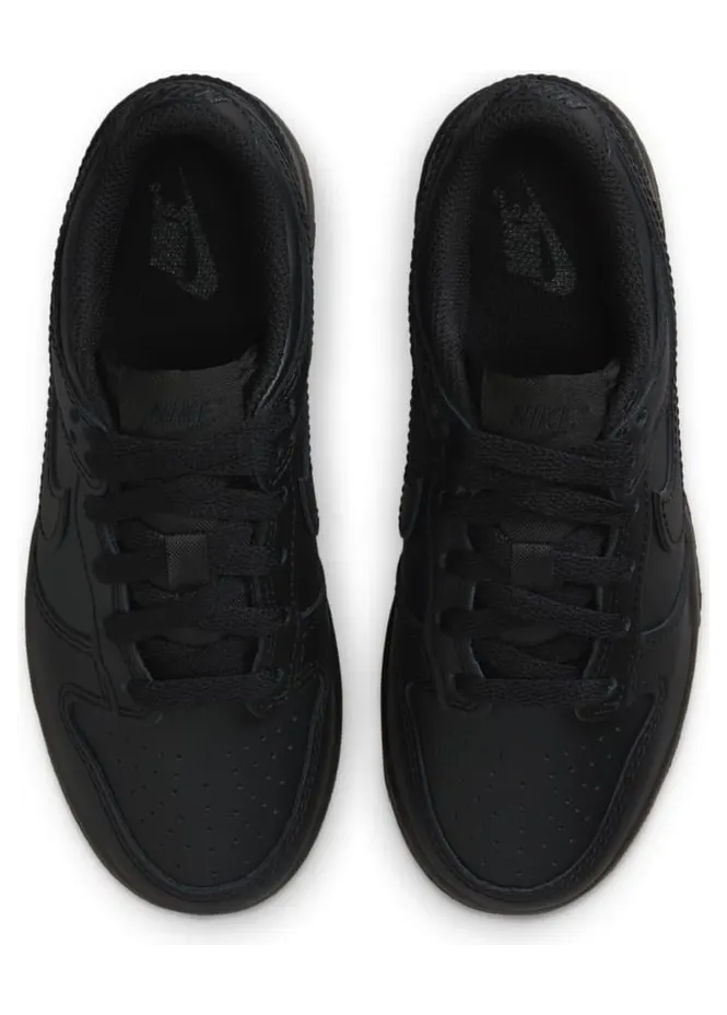 nike-dunk FB9108-009