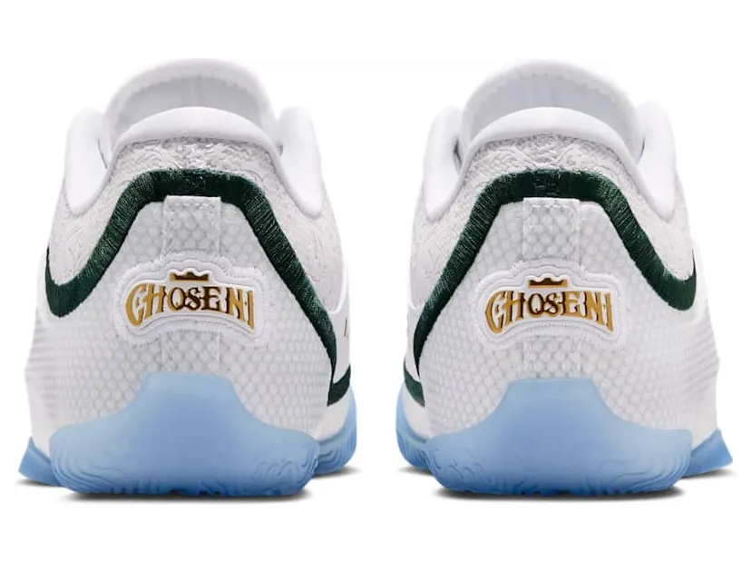 nike-lebron HV3596-100