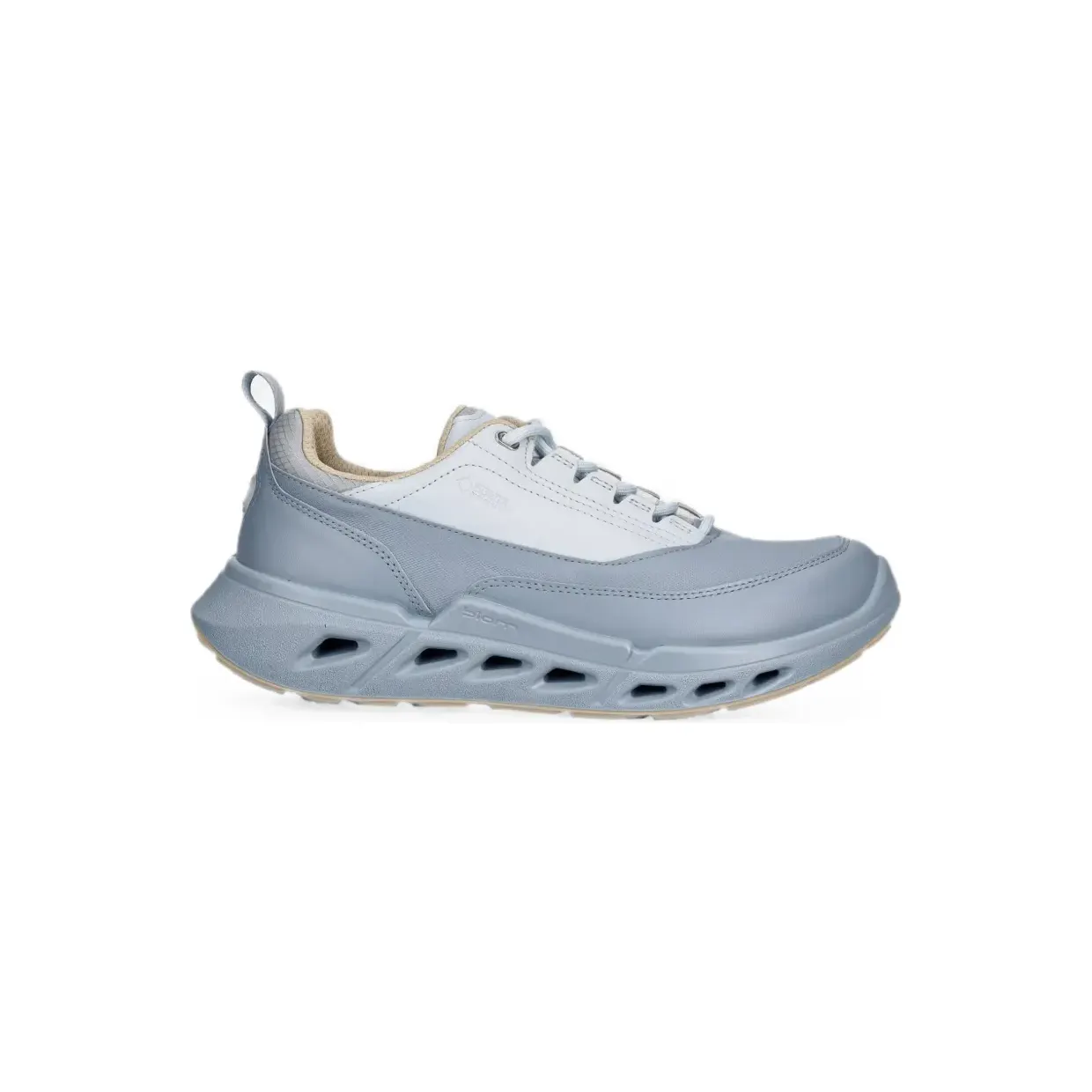 ecco-biom 850303