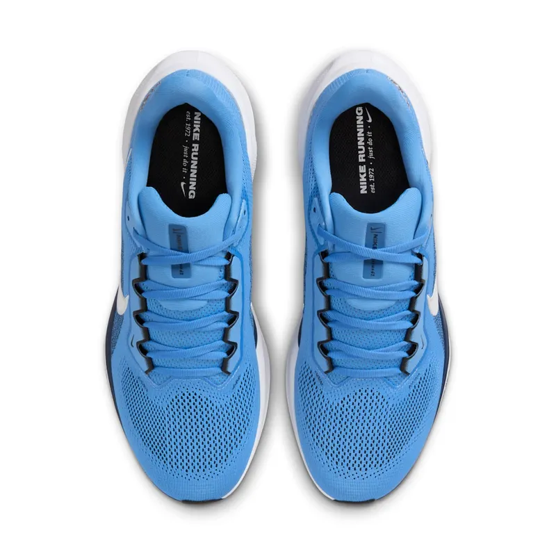 Nike Air Zoom Pegasus 41 Tennessee Titans (2025) (IB3204-400)