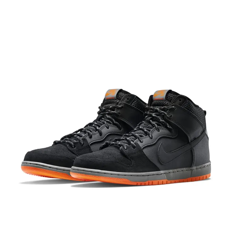 Nike Dunk High PRM Shield (684805-001)