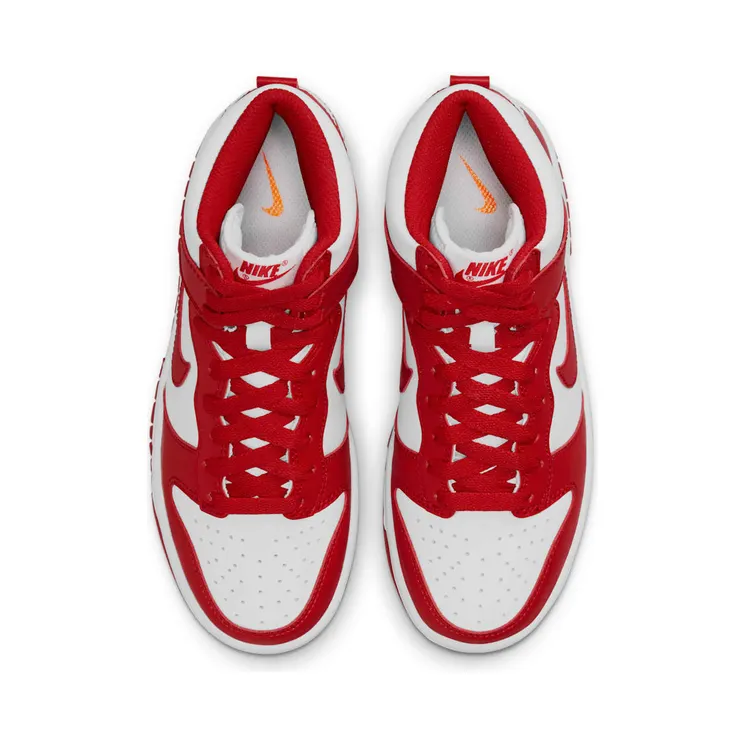 nike-dunk DB2179-106