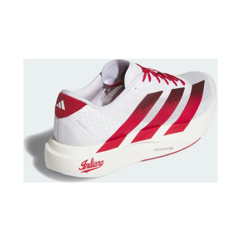 adidas Adizero Evo SL Indiana (JQ4576)
