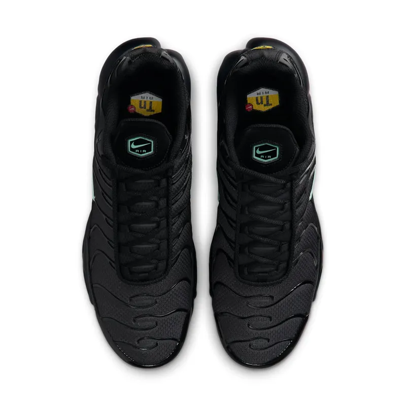 Nike Air Max Plus Black Mint Green (DM0032-029)