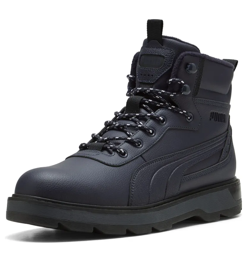 puma-desierto 392626_05