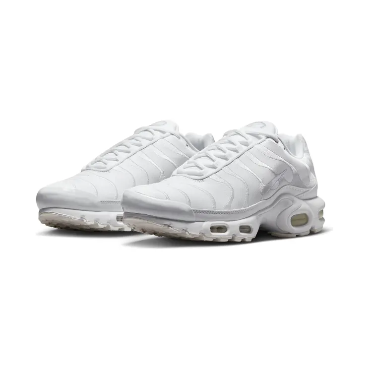 nike-air-max AJ2029-100