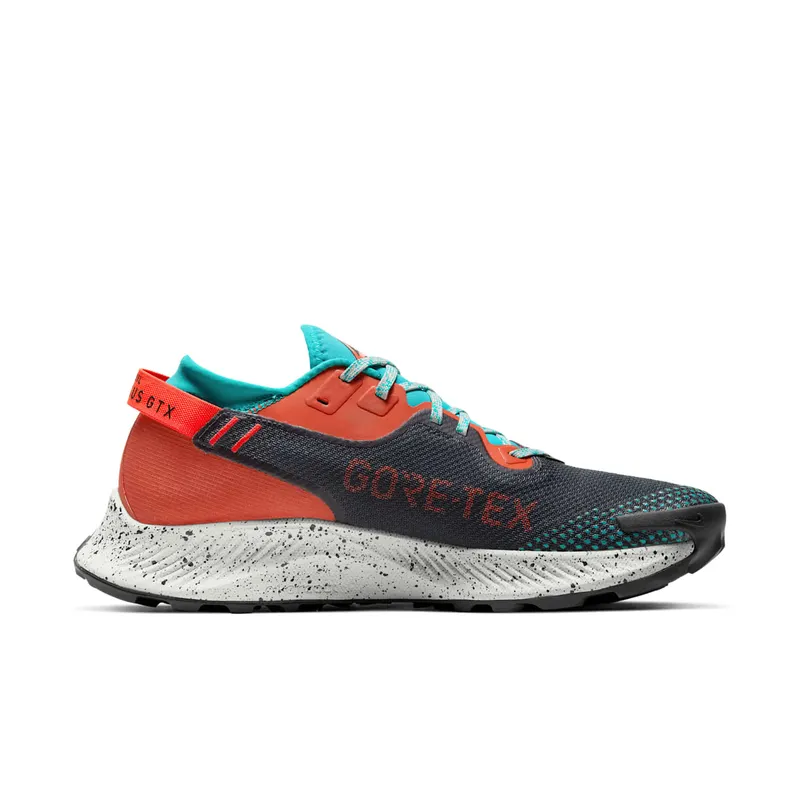 Nike Pegasus Trail 2 GORE-TEX Trail Running Black (DH0202-001)