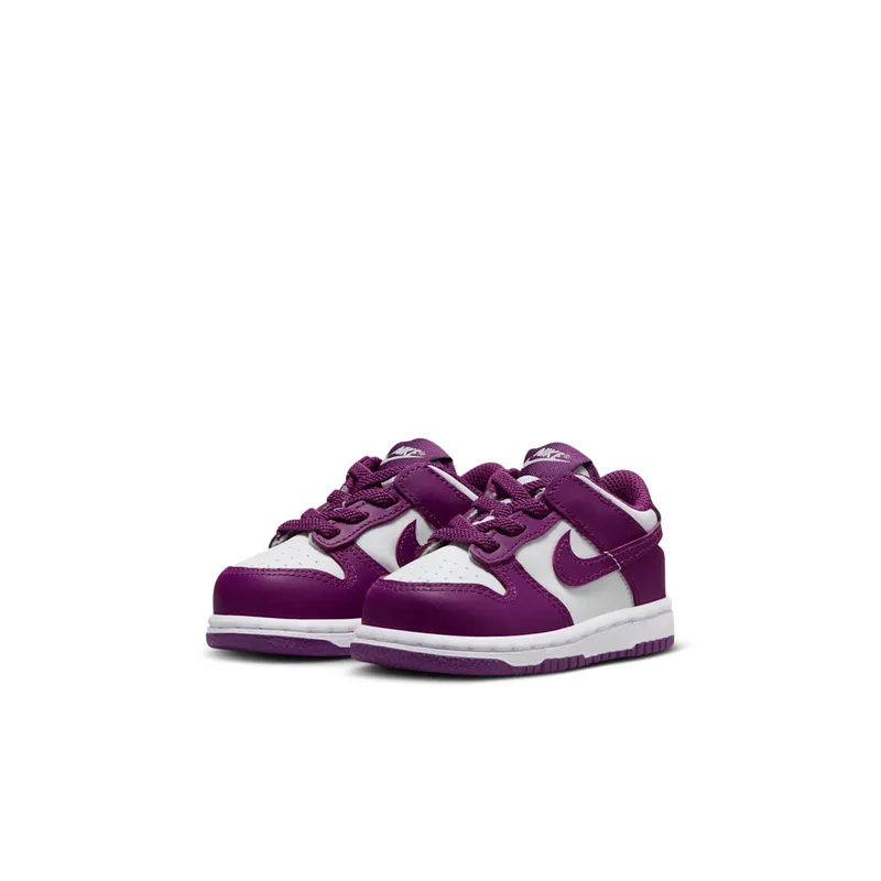 Nike Dunk Low Viotech (FB9107-110)
