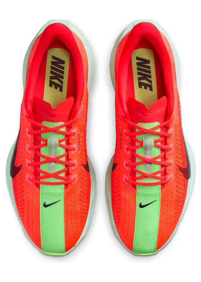 nike-air-pegasus FQ7262-600