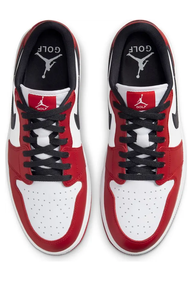 air-jordan-1 DD9315-600