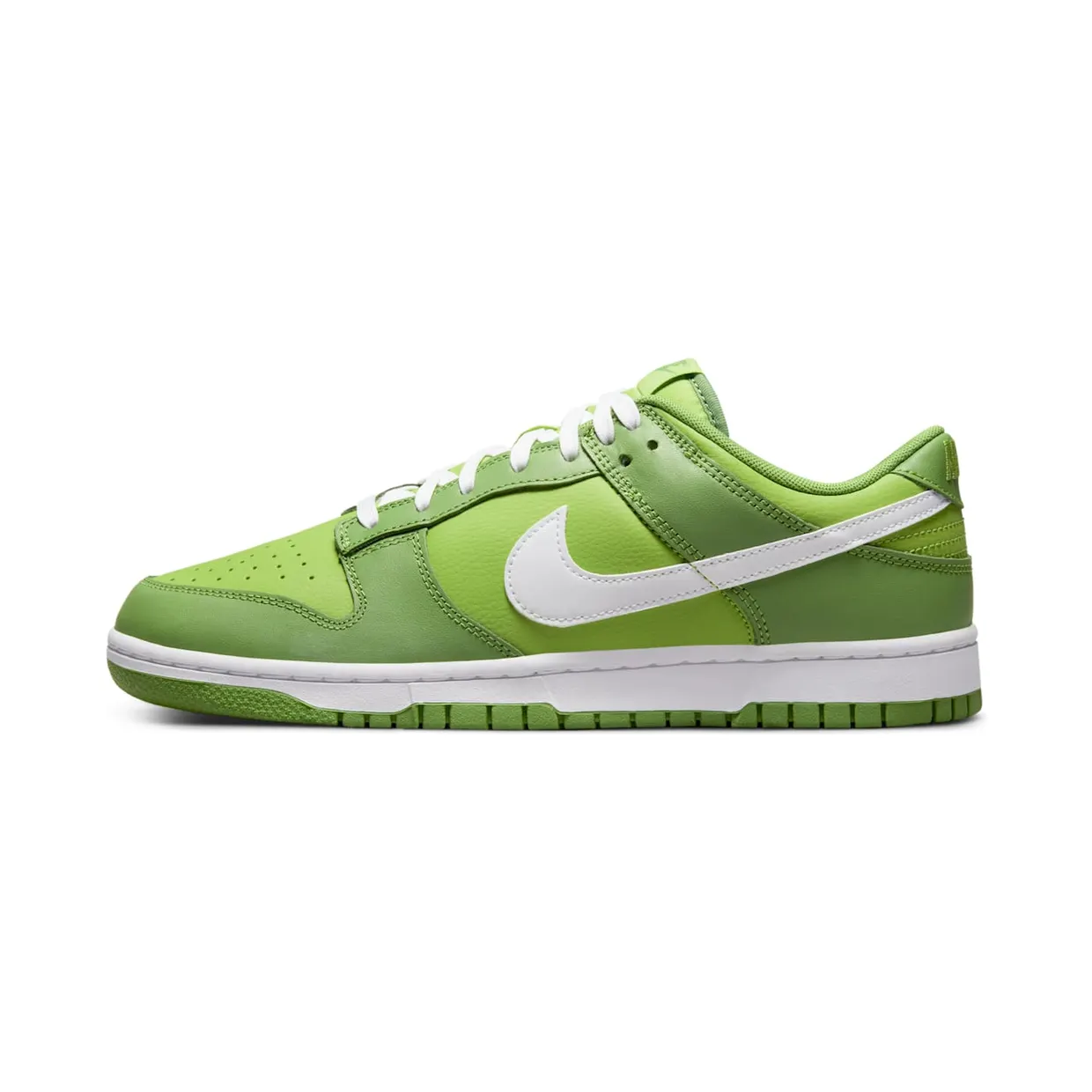 nike-dunk DJ6188-300