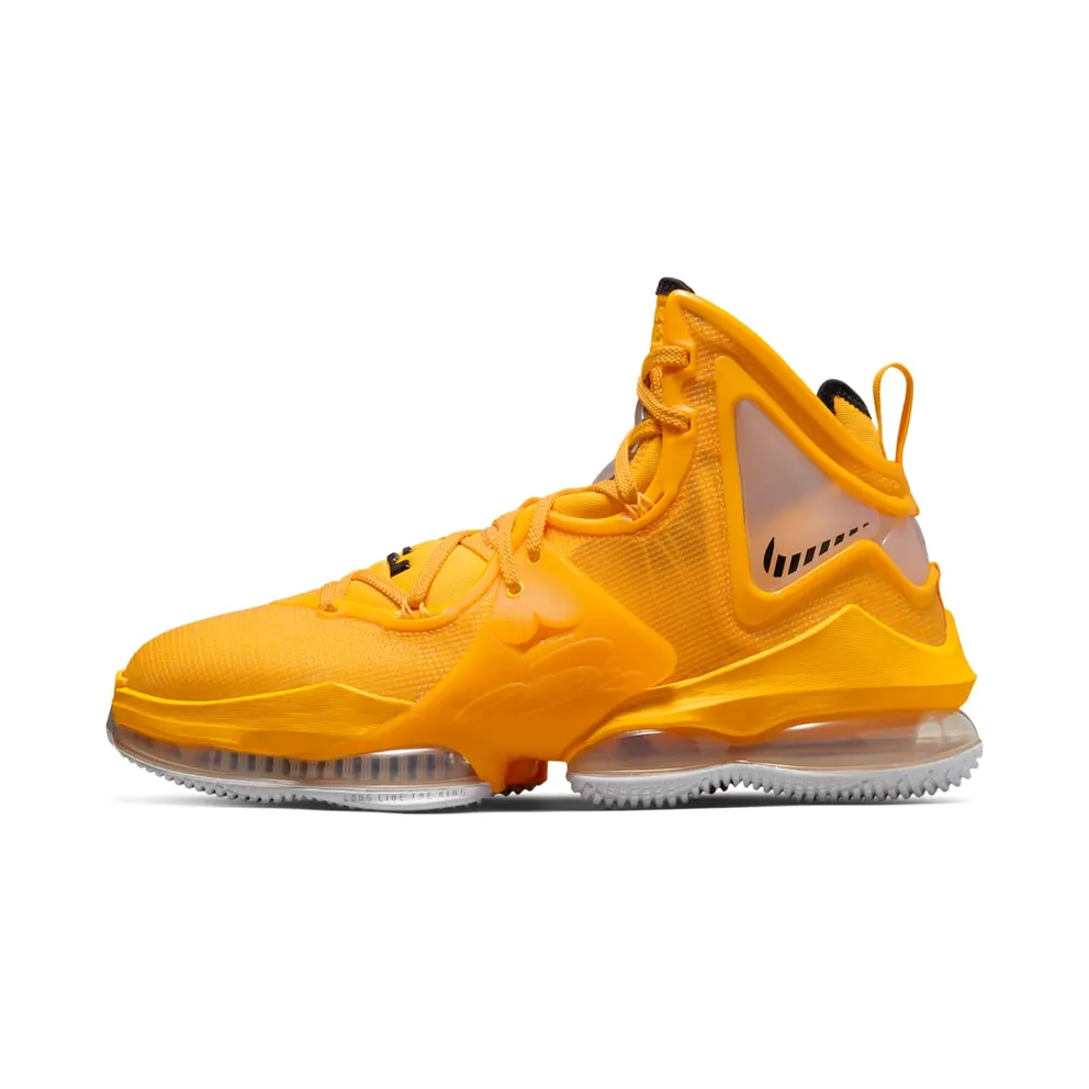 LeBron 19 Braun (CZ0203-700)