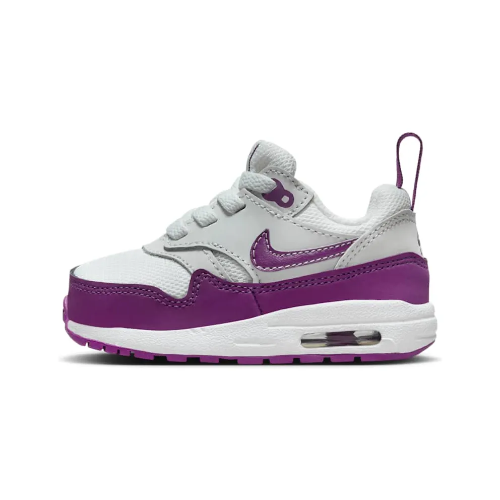 Nike Air Max 1 Summit White/White/Viotech (DZ3309-109)