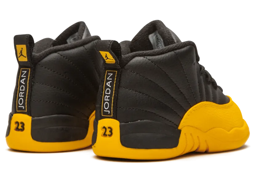 air-jordan-12 850000-070
