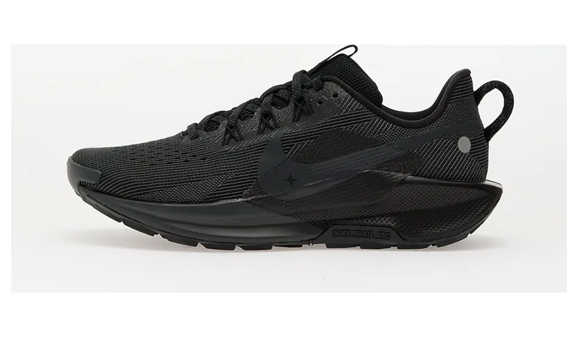 nike-air-pegasus DV3865005
