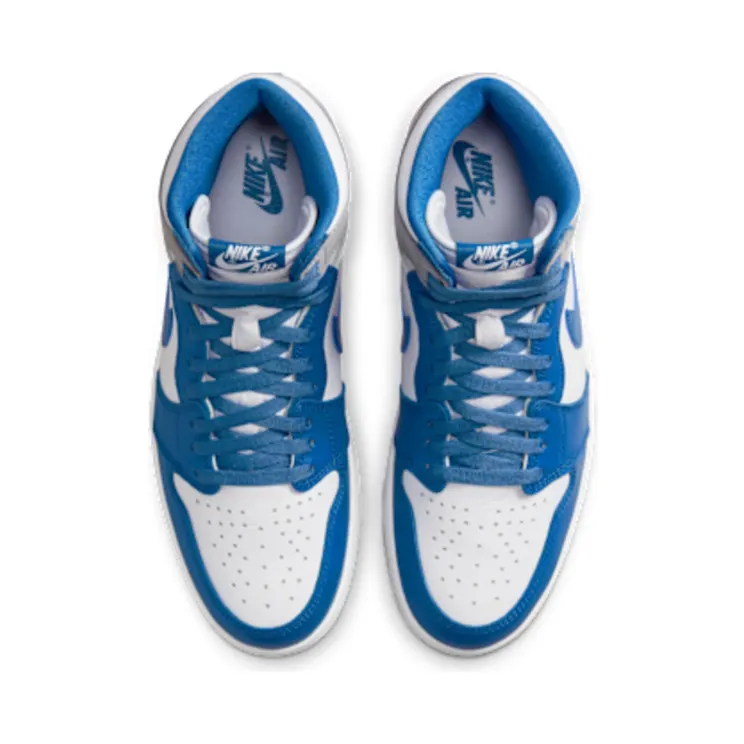 air-jordan-1 DZ5485-410