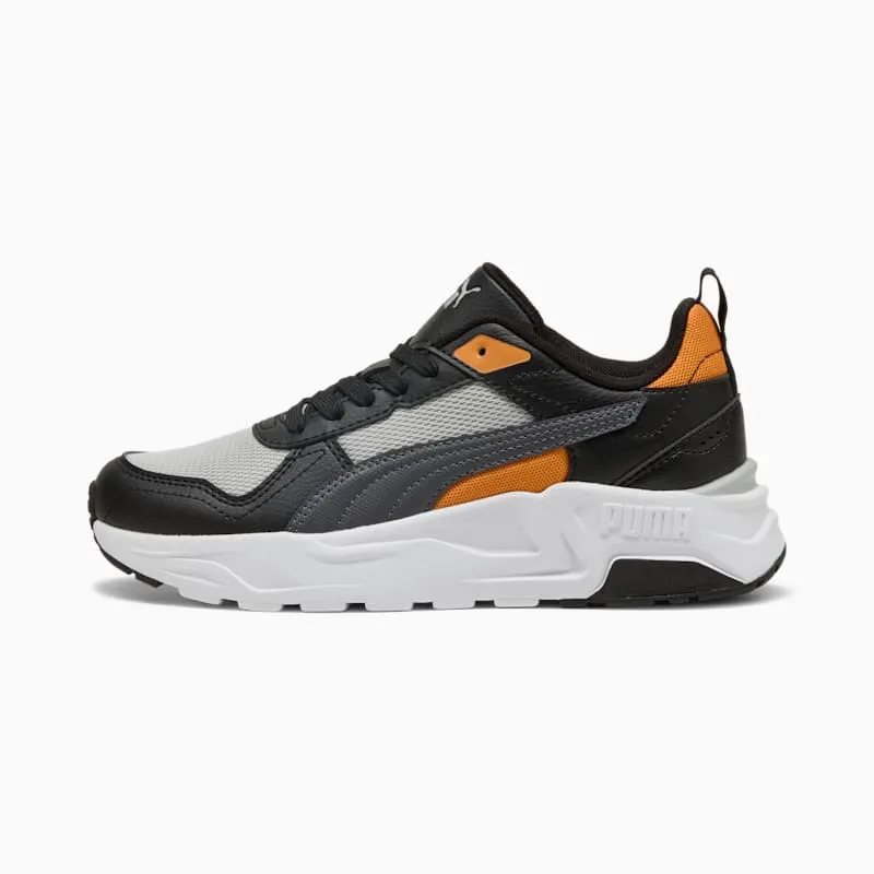 Puma Trinity Cool Light Gray-Moody Gray-PUMA Black (403703-15)