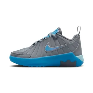 Nike LeBron Witness 9 Cool Grey / Psychic Blue / Glacier Ice (HV2271-003)