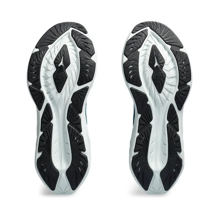 asics-novablast 1011B693-401
