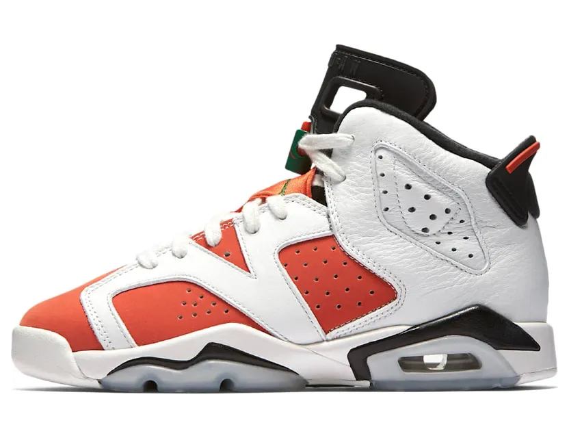 air-jordan-6 384665-145