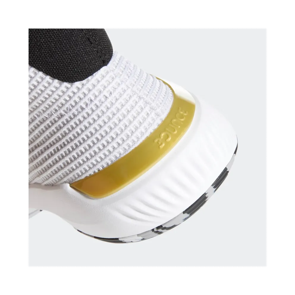 Adidas Pro Bounce 2019 ‘White Gold Metallic’ Cloud White/Core Black/Gold Metallic (EE3896)
