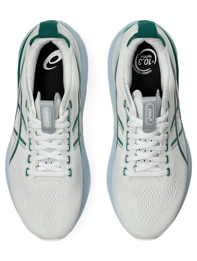 asics-gel-kayano 1011C052-102