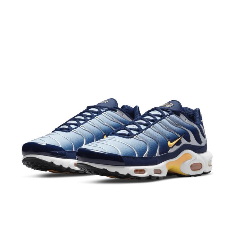 Nike Air Max Plus Blue (DM3530-400)