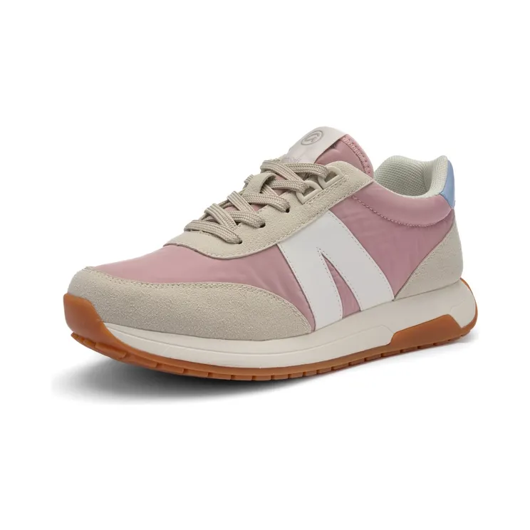 Ara multicolored (1037948)
