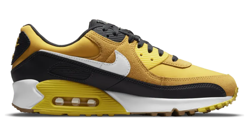 Nike Air Max 90 Go The Extra Smile (DO5848-700)