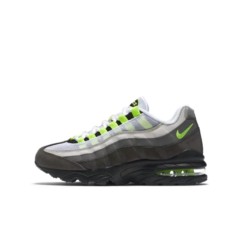 Nike Air Max 95 Neon 2015 (GS) (307565-077)