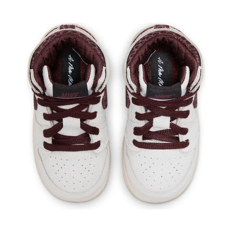 air-jordan-10 DO7098-100