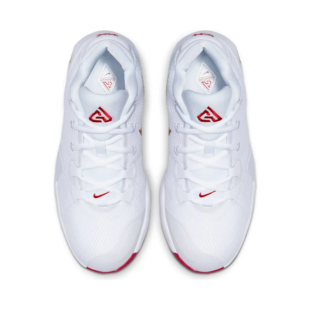 Nike Zoom Freak 1 Roses (GS) White/Metallic Gold-University Red (BQ5633-100)