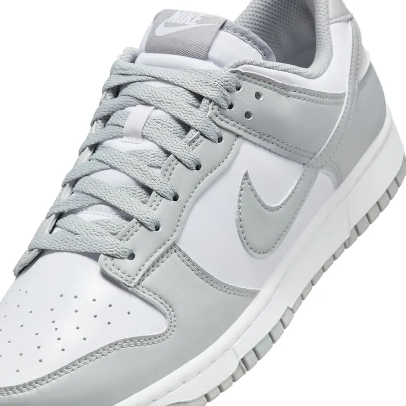 nike-dunk HF5441-105