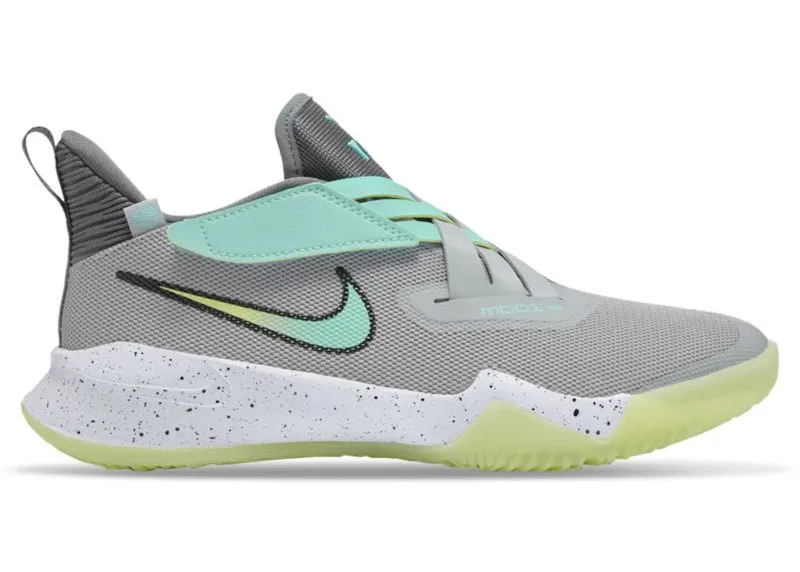 Nike Zoom Flight 2 Smoke Grey Lemon Twist (DB6708-001)