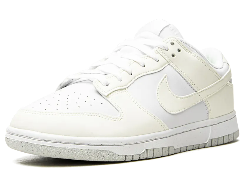 nike-dunk DD1873-101