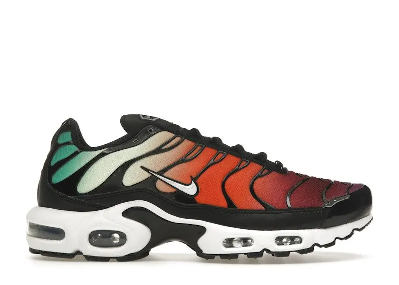 Nike Air Max Plus Rainbow (DZ3670-001)