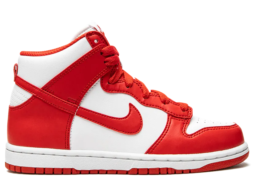 nike-dunk DD2314-106