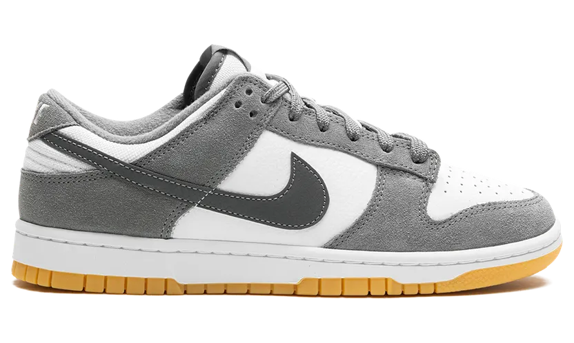 nike-dunk FV0389-100