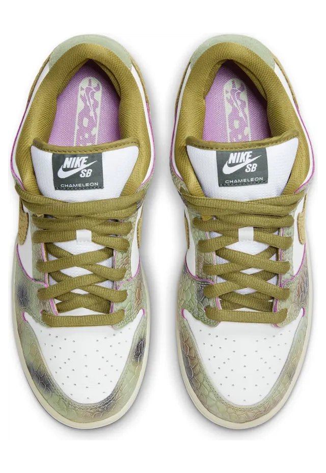 nike-dunk-sb HJ3386-300