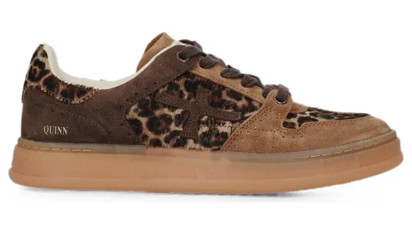 Premiata Quinnd 8643 “Brown” (QUINND8643)