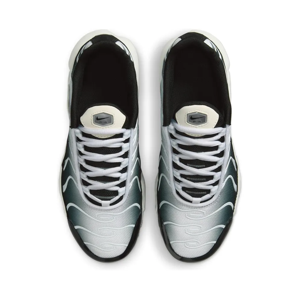 Nike Air Max Plus Black White Sail Metallic Cool Grey (CD0609-026)