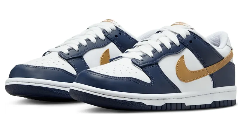 nike-dunk FB9109-111