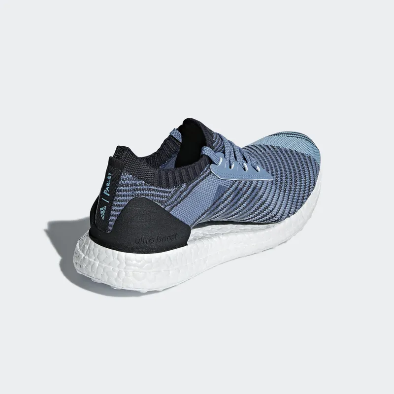 adidas Ultra Boost X Parley Raw Grey (W) Raw Grey/Carbon/Legend Ink (AQ0421)