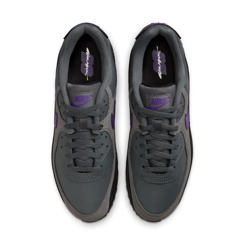 Nike Air Max 90 Iron Grey Wild Grape (IF0670-004)